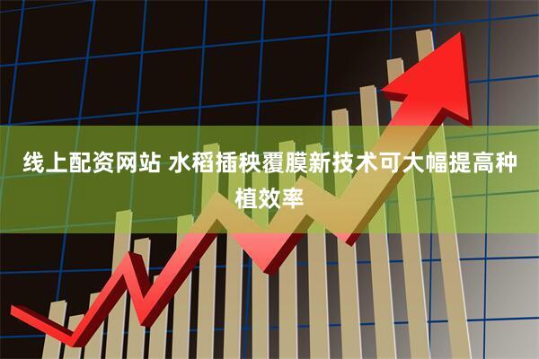线上配资网站 水稻插秧覆膜新技术可大幅提高种植效率