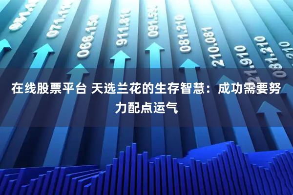 在线股票平台 天选兰花的生存智慧：成功需要努力配点运气