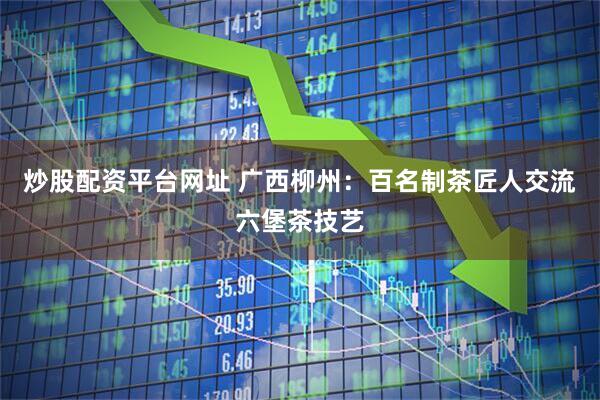炒股配资平台网址 广西柳州：百名制茶匠人交流六堡茶技艺